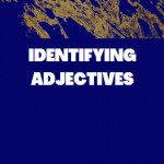 IDENTIFYING ADJECTIVES